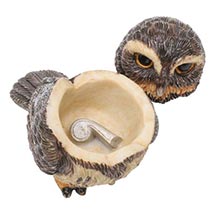 Alternate image for Owl Pot Bellys® Boxes - Pygmy Owl