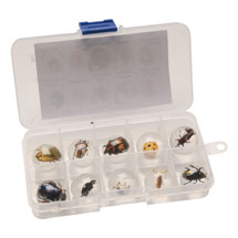 Alternate image for Instant Insect Collections - 10 marbles