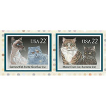 Alternate Image 1 for Cats Rule Photo Frame