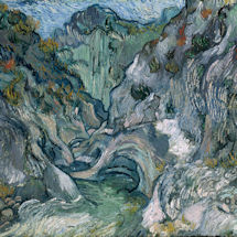 Alternate image Van Gogh Ravine Reversible Rain Cape
