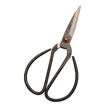 Product Image for Famous Chinese Scissors