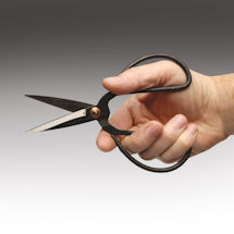 Alternate Image 1 for Famous Chinese Scissors