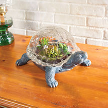 Product Image for Turtle Terrarium