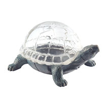 Alternate Image 1 for Turtle Terrarium