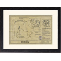 Personalized Framed Dog Breed Architectural Renderings - English Bulldog