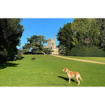 Alternate Image 10 for Seasons at Highclere Signed Edition (Hardcover)
