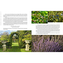 Alternate Image 8 for Seasons at Highclere Signed Edition (Hardcover)