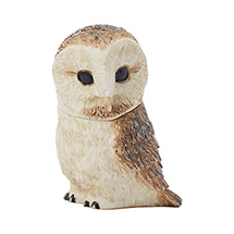 Alternate Image 1 for Owl Pot Bellys® Boxes