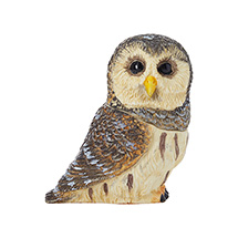 Product Image for Owl Pot Bellys® Boxes