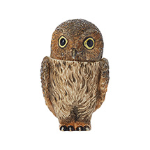 Alternate Image 3 for Owl Pot Bellys® Boxes