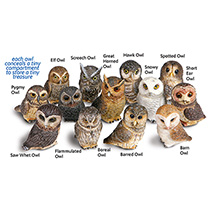 Alternate Image 17 for Owl Pot Bellys® Boxes