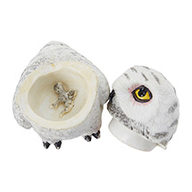 Alternate Image 10 for Owl Pot Bellys® Boxes
