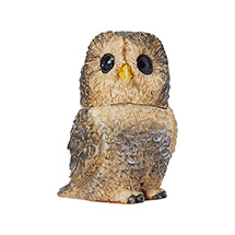 Alternate image for Owl Pot Bellys® Boxes
