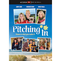 Alternate image for Pitching In DVD