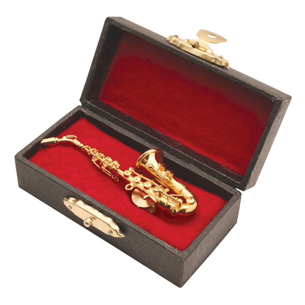 Seawoo Dselvgvu Miniature Musical Instrument Fashion Lapel Brooch Pin with Red Velvet Lined Instrument Case Musical Gift Birthday Gift